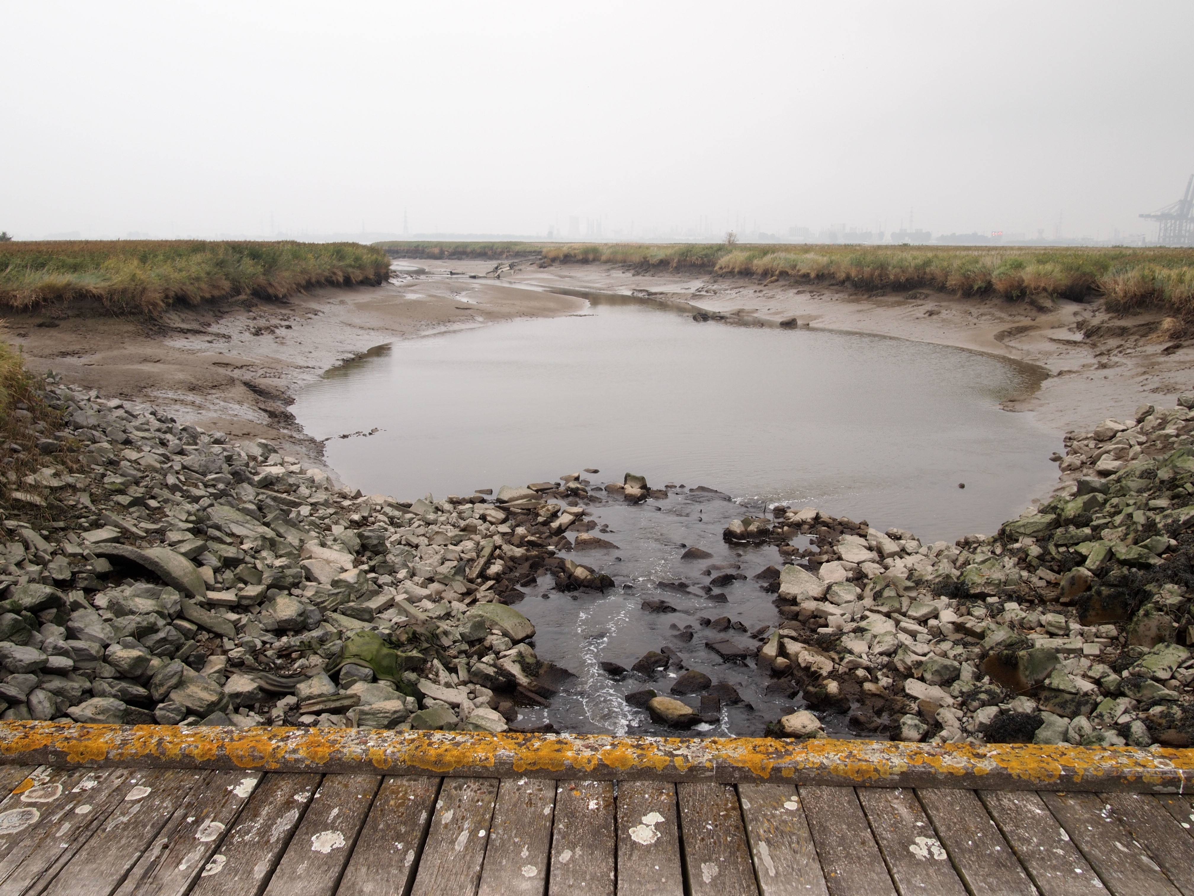 Bridge, Drowned Land of Saeftinghe