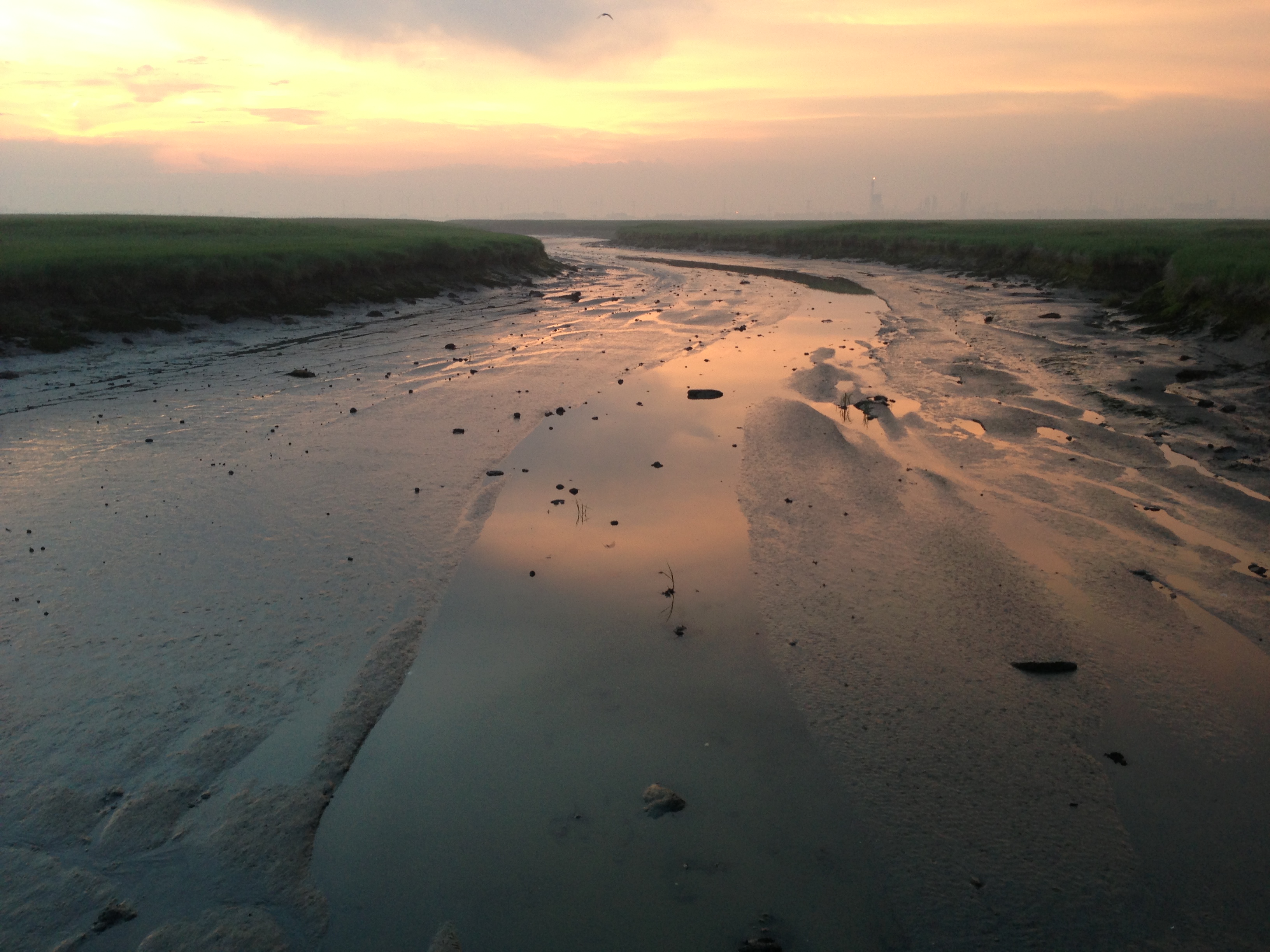 Marsh Formation, Drowned Land of Saeftinghe