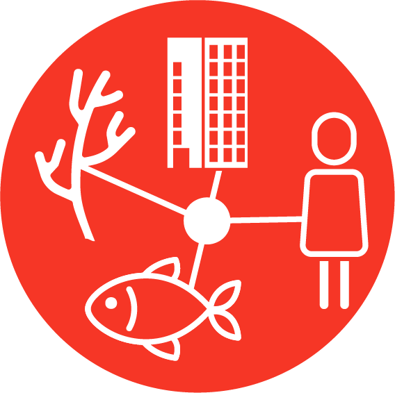 Zoop icon